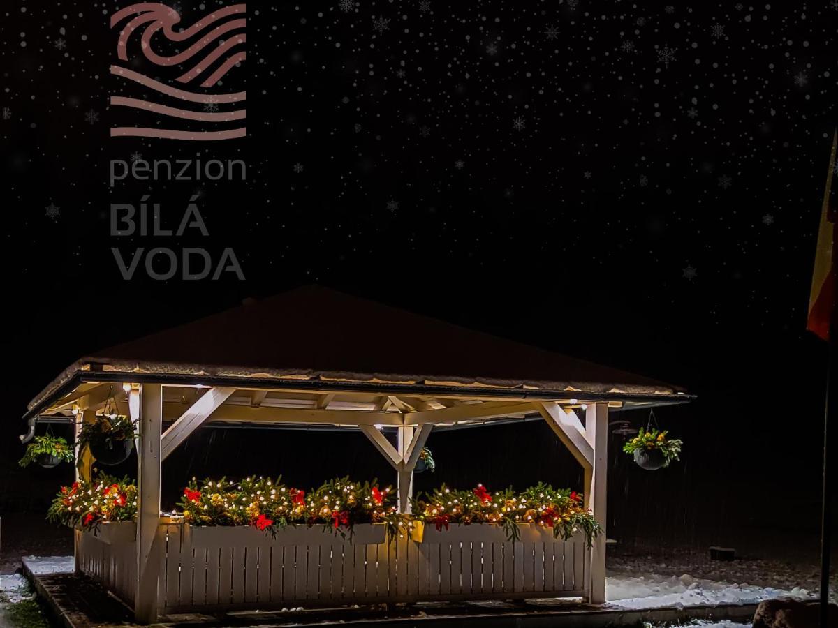 Penzion Bila Voda Harrachov Ngoại thất bức ảnh